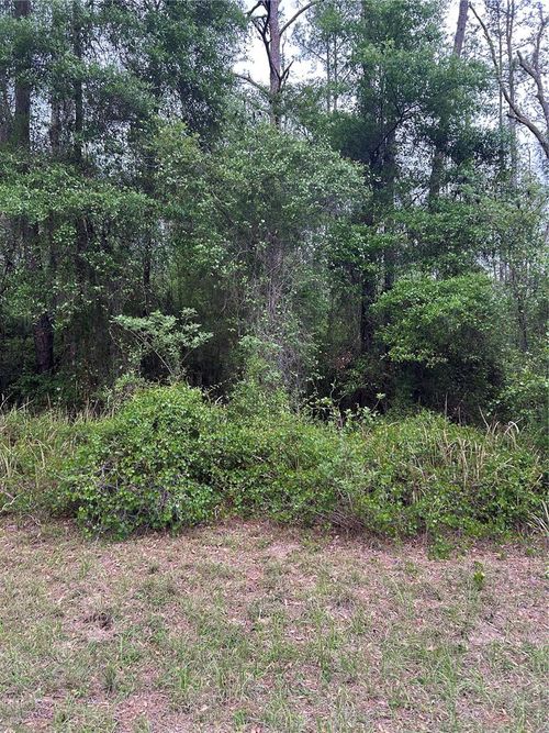 6265 N Allston Ter, Dunnellon, FL, 34433-7048 | Card Image