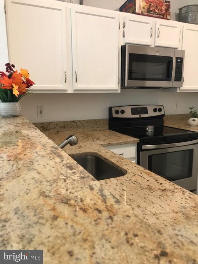 UNIT-10102 - 1521 Spring Gate Dr, Condo with 1 bedrooms, 1 bathrooms and null parking in MCLEAN VA | Image 6