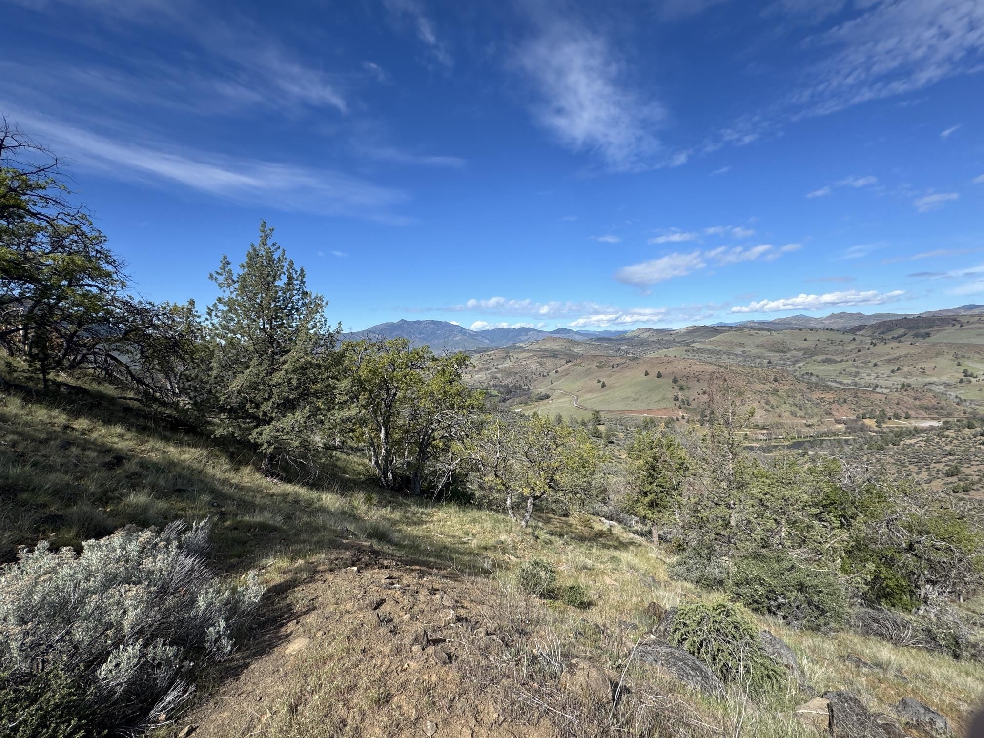 Land in Montague 5