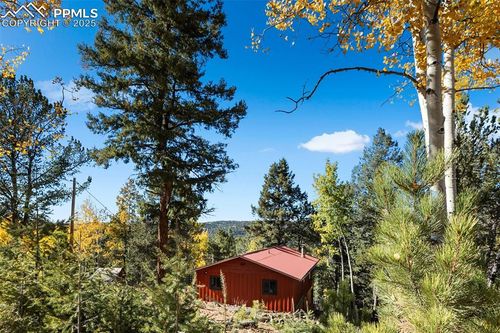 679 Calcite Dr, Divide, CO, 80814-7707 | Card Image