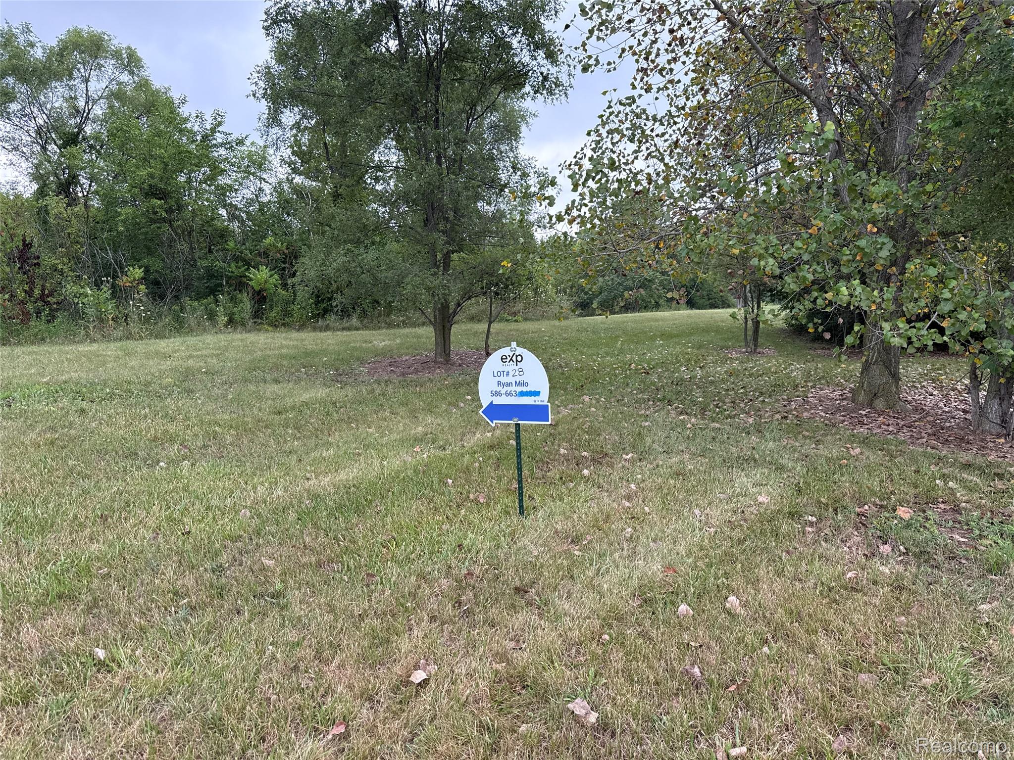 Land in Augusta Charter Township