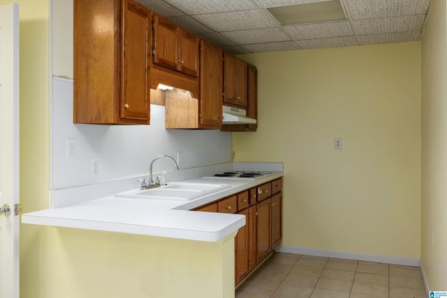 523 Seminole Trl, House other with 3 bedrooms, 3 bathrooms and null parking in PELL CITY AL | Image 48