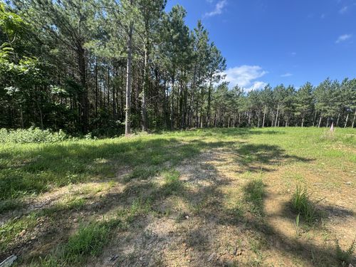 0 Rustic Pines Rd, Dover, TN, 37058 | Card Image