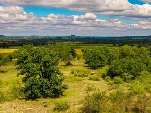 3145 N Grape Creek Rd, Fredericksburg, TX, 78624 | Card Image