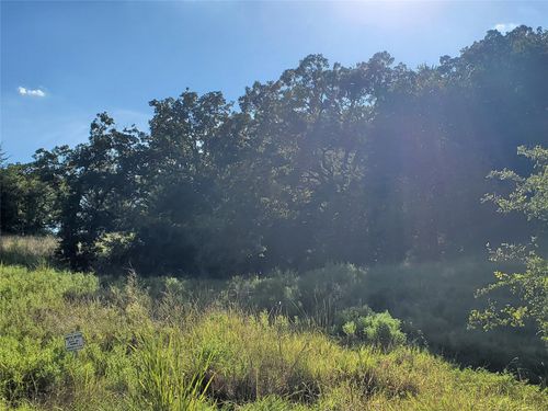 Lot 445 Ranchview Ct, Bowie, TX, 76230-8680 | Card Image
