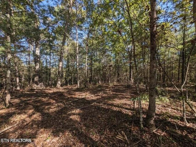 239 Sewell Dr, Home with 0 bedrooms, 0 bathrooms and null parking in Allardt TN | Image 6
