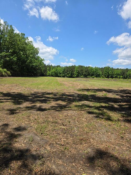 00 Flatwoods Rd, Reevesville, SC, 29471 | Card Image
