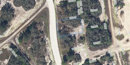 333 Wildwood Dr, Lake Placid, FL, 33852 | Card Image