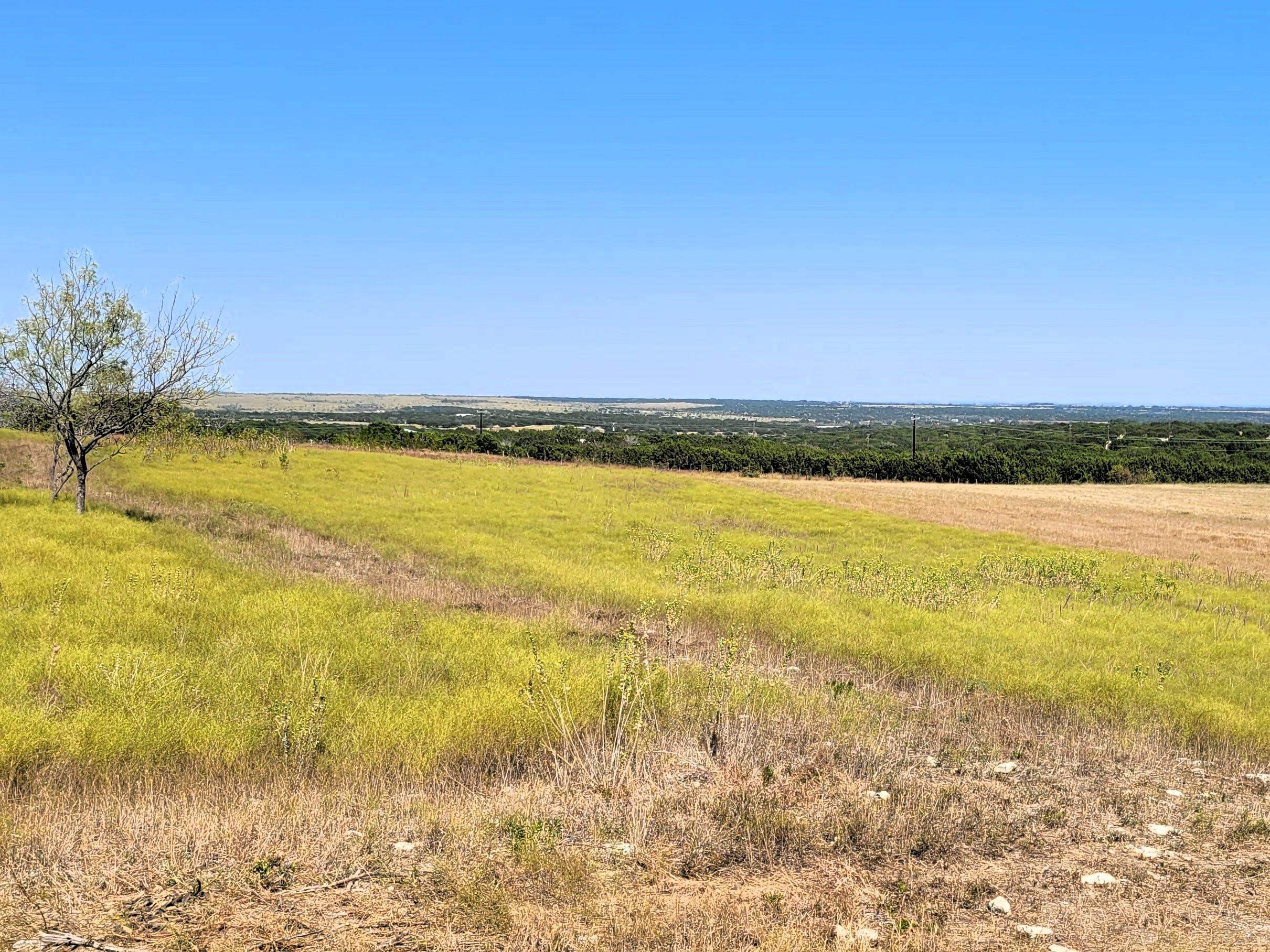Farm in Burnet 5