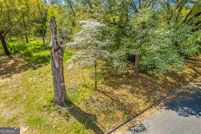624 W Mercer Ave, Home with 0 bedrooms, 0 bathrooms and null parking in Albany GA | Image 25