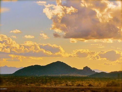 29-11523 E Dreyfus Ave, Scottsdale, AZ, 85259-2534 | Card Image