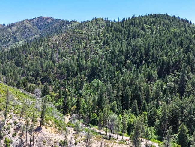 0000 E Fork Rd, Home with 0 bedrooms, 0 bathrooms and null parking in French Gulch CA | Image 50