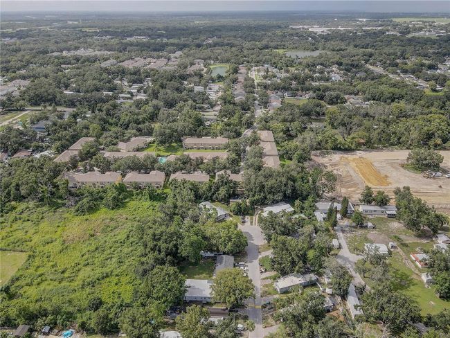 4591 Limerick Dr, Townhouse with 3 bedrooms, 3 bathrooms and null parking in TAMPA FL | Image 48