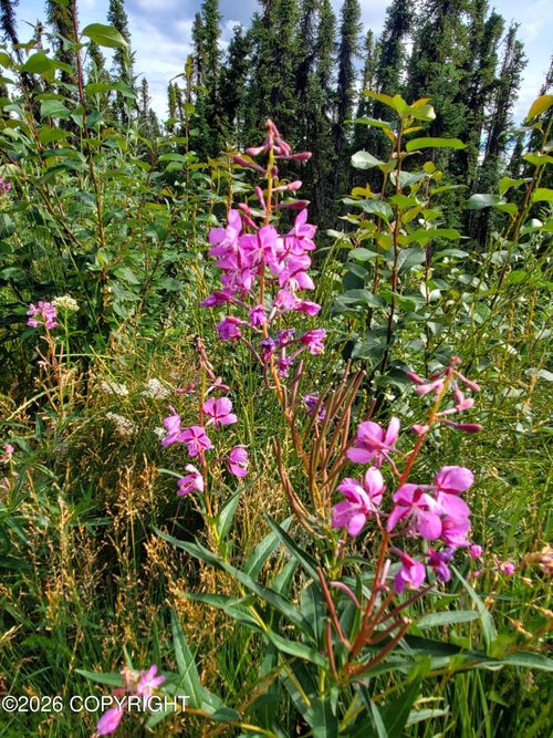 L11 B1 Brenden Blvd, Copper Center, AK, 99573 | Card Image