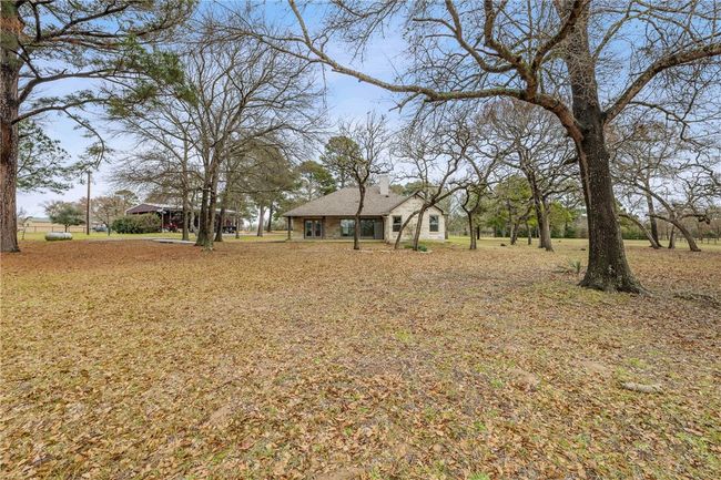 View of yard | Image 31