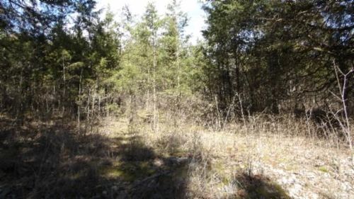 5.60ac Lewis James Ln, Riddleton, TN, 37151 | Card Image