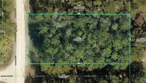 R01-221-17-3357-5520-0170 Cedarwood Avenue, WEEKI WACHEE, FL, 34614 | Card Image