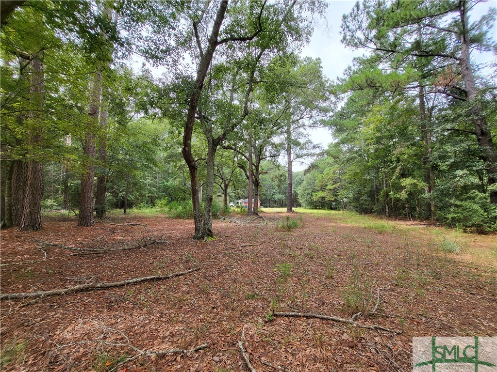 Horseshoe Rd, Bloomingdale, GA 31302