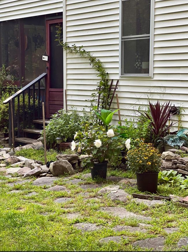 View of doorway to property | Image 24