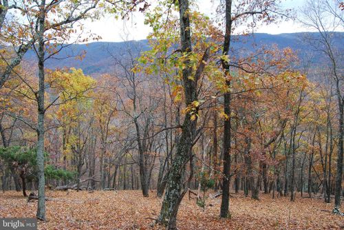 Lot 183 Lockinger Rdg, MOOREFIELD, WV, 26836 | Card Image
