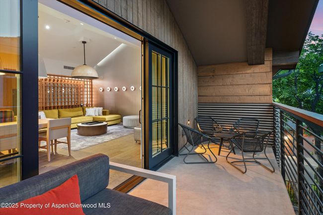 F10-1-10 - 550 S Spring St, Condo with 3 bedrooms, 4 bathrooms and 1 parking in Aspen CO | Image 44