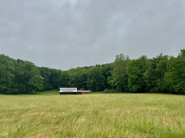 view of yard featuring a forest view and a rural view | Image 19