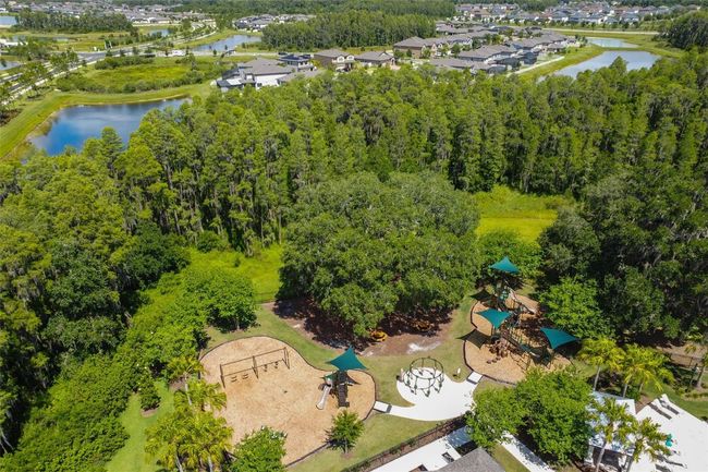 10701 Morning Dew Way, House other with 7 bedrooms, 6 bathrooms and null parking in TAMPA FL | Image 85