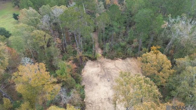 Parcel 2-A Hano Rd, Home with 0 bedrooms, 0 bathrooms and null parking in Independence LA | Image 9