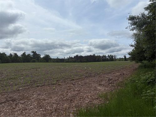 0 Walkers Rd, Humbird, WI, 54746 | Card Image