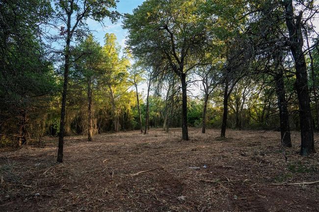 View of nature featuring a view of trees | Image 15