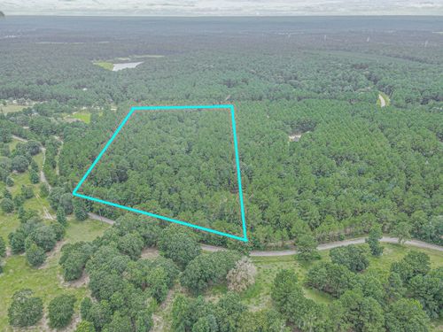 9947 Amelia Dr, Anderson, TX, 77830-5673 | Card Image