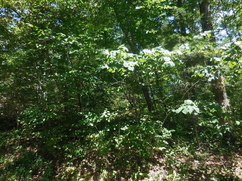 68 Sandy Point Ln, Sevierville, TN, 37876 | Card Image