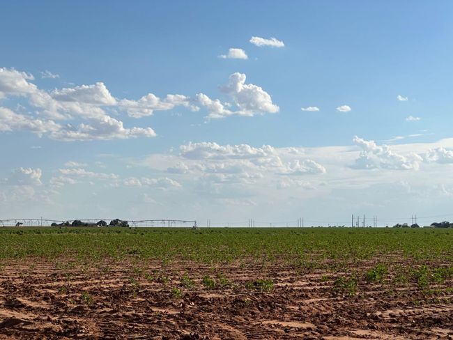 0 Dove, Home with 0 bedrooms, 0 bathrooms and null parking in Ropesville TX | Image 15