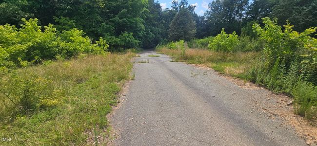 20240613_150804 | Image 8