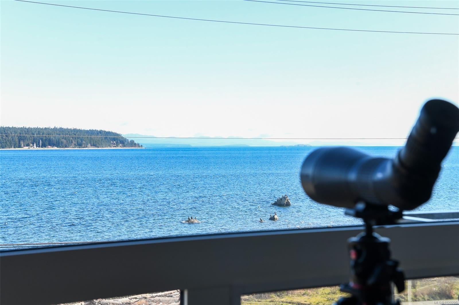 Residential in Campbell River 3