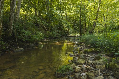 0000 Snake Hollow Rd, Sneedville, TN, 37869 | Card Image