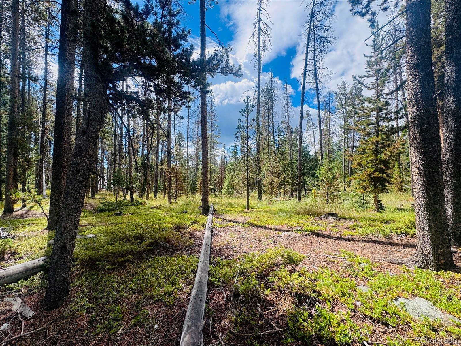Land in Conifer 4
