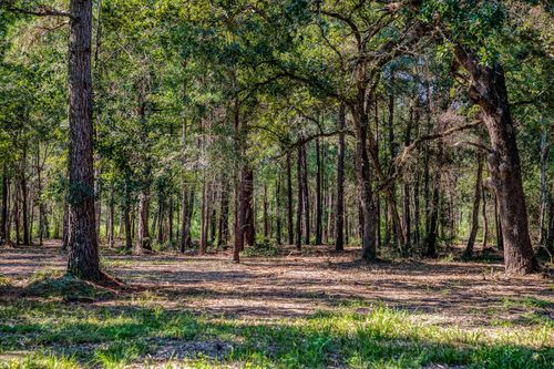 31801 Reids Prairie Rd, Waller, TX, 77484-4081 | Card Image