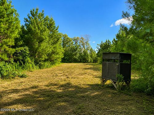 00 Auburn Dr Sw, Bogue Chitto, MS, 39629 | Card Image