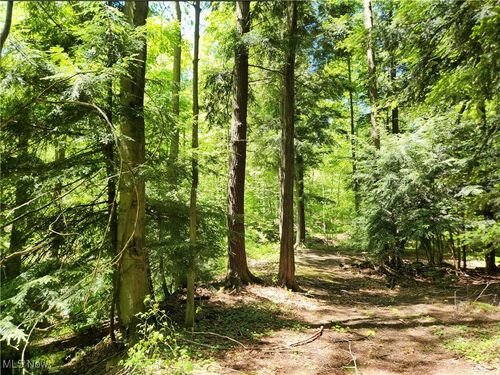 VACANT LAND Brakeman Road, Painesville Township, OH, 44077 | Card Image