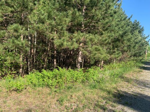 24 Grand View Drive, Dedham, ME, 04429 | Card Image
