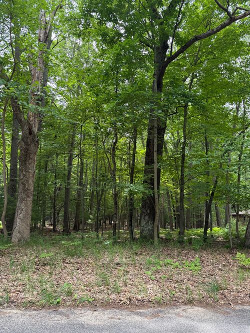Lot 127 Wayne Road, Pentwater, MI, 49449 | Card Image