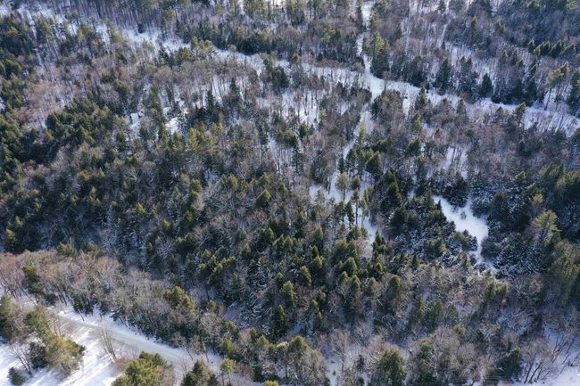 00 Barnard Rd, Home with 0 bedrooms, 0 bathrooms and null parking in Barnard VT | Image 5