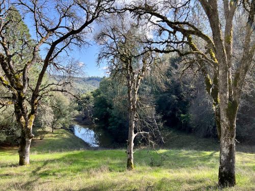 Acres Cedar Pines Dr, Fiddletown, CA, 95629 | Card Image