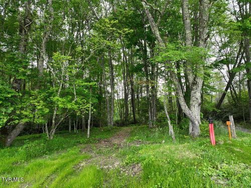 1762 Ripshin Mountain Rd, Roan Mountain, TN, 37687-3758 | Card Image