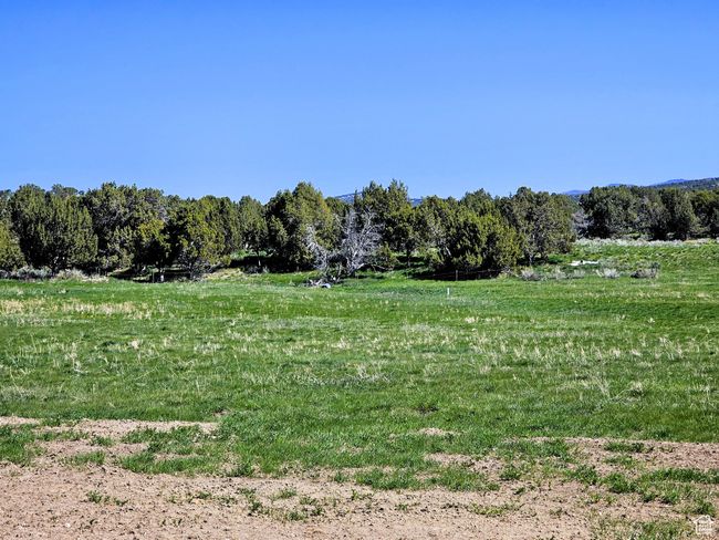 2 - 2 Juniper Dr, Home with 0 bedrooms, 0 bathrooms and null parking in Fairview UT | Image 6