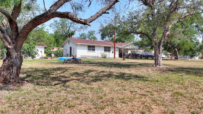 View of green lawn | Image 12