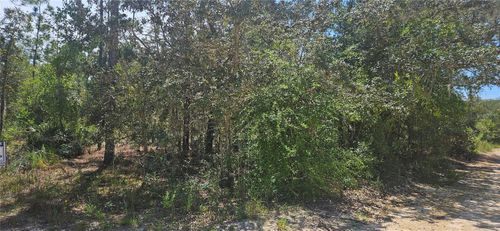0 Ne 67th Ln, BRONSON, FL, 32621 | Card Image