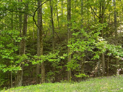 342-336342 Omega Dr, Spring City, TN, 37381 | Card Image