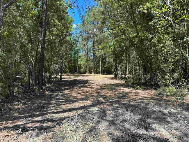 23547 Heritage Acres Ln, Home with 0 bedrooms, 0 bathrooms and null parking in Robert LA | Image 14